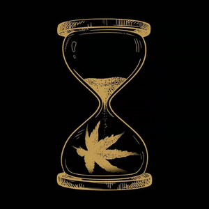 女性向羞羞片AV网站入口
