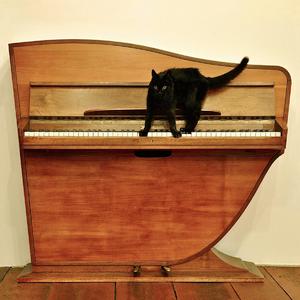 女性向羞羞片AV网站入口
