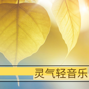 女性向羞羞片AV网站入口
